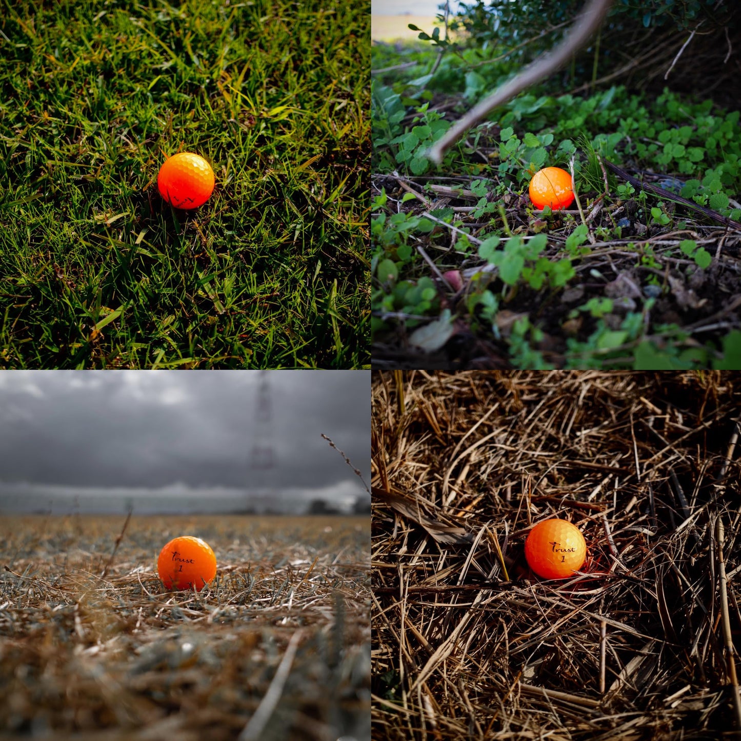 Trust Golf Balls Aurora Orange – Balles de golf colorées, uréthane cristal, boîte de 12