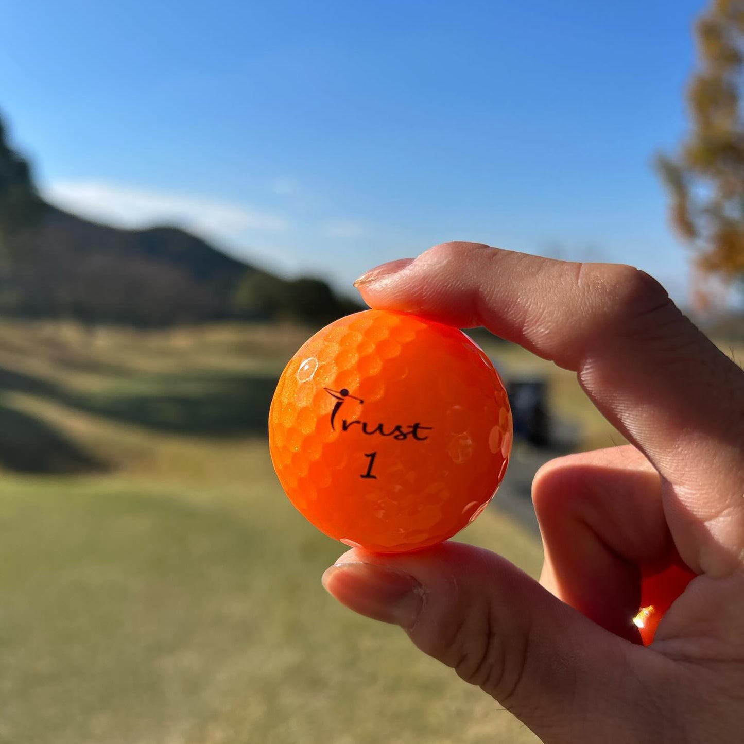 Trust Golf Balls Aurora Orange – Balles de golf colorées, uréthane cristal, boîte de 12