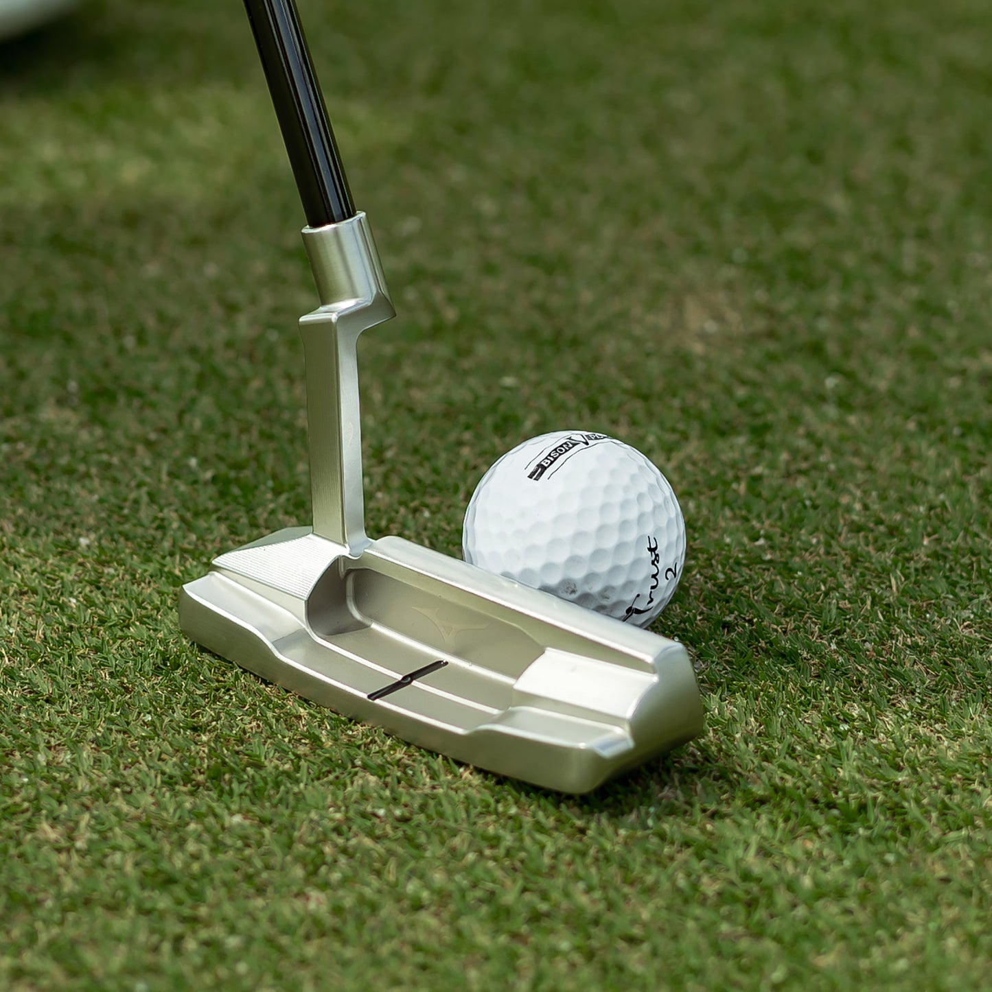 Trust Golf Balls Bison V Power – Pour golfeurs ambitieux : distance maximale <169 km/h, boîte de 12